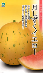 月しずく　イエロー