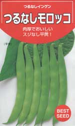 つるなしモロッコ