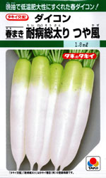 春まき耐病総太り　つや風