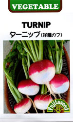 ターニップ（洋種カブ）