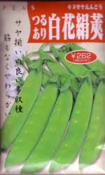 つるあり白花絹莢