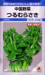 つるむらさき（緑茎）