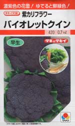 バイオレットクイン