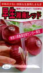 早生湘南レッド