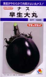 早生大丸