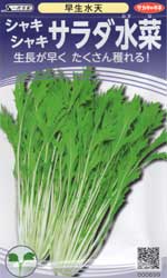 シャキシャキサラダ水菜　早生水天