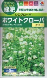 ホワイトクローバー