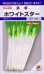 ホワイトスター