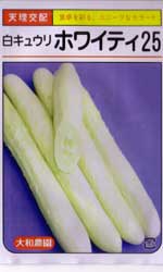 ホワイティ25