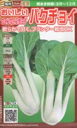 おいしいパクチョイ