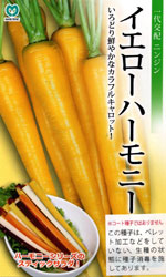 イエローハーモニー