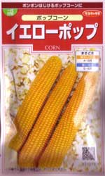 イエローポップ