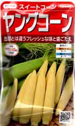 ヤングコーン