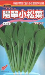 陽翠小松菜