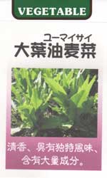 大葉油麦菜（ユーマイサイ）