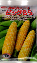 ゆめのコーン　ビッグ85