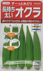 ずーっとみどり